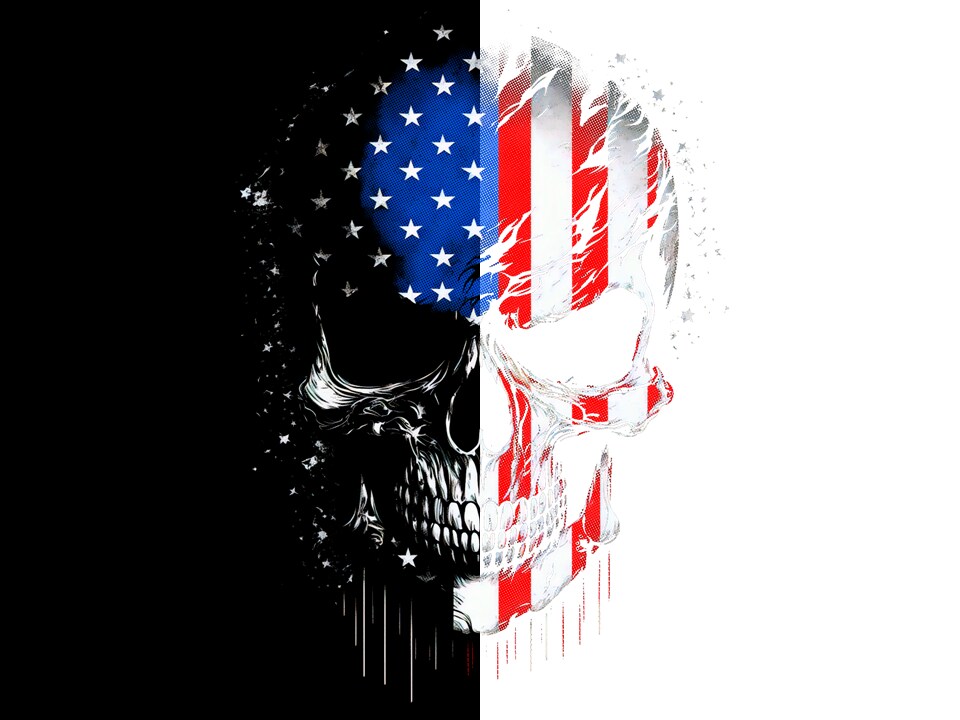 #204 DTF Print- Skull Flag- Half Tone (FOR BLACK SHIRTS ONLY)