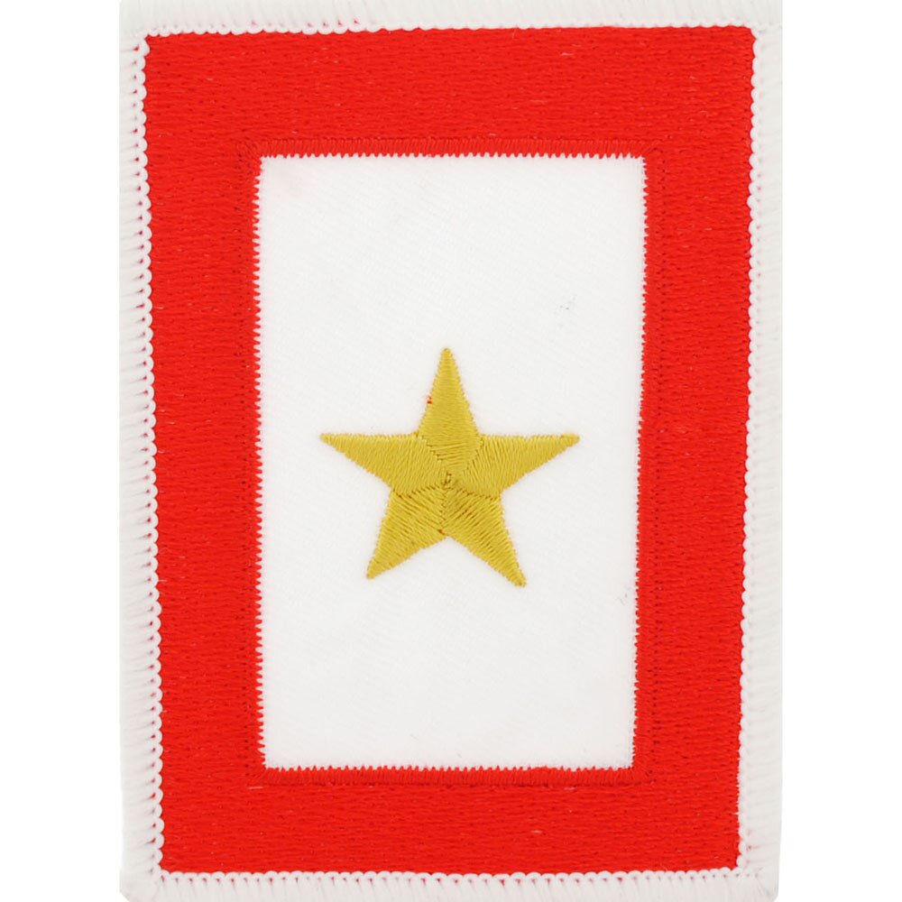 Eagle Emblems Patch-Family Member Gold Star Honor (2-1/2"X3-1/2")