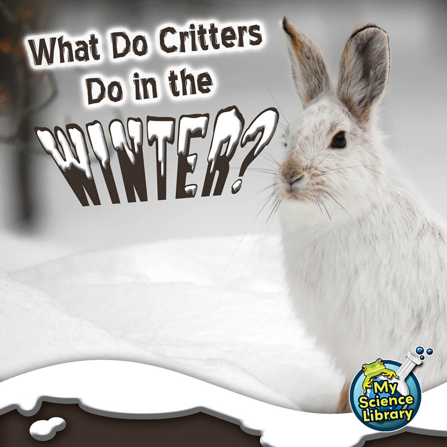 Rourke Educational Media What Do Critters Do in the Winter?, Guided Reading Level L