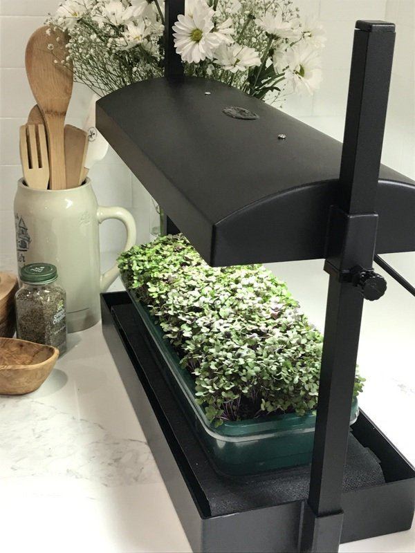 LED Microgreen Grow System - Everything you Need!