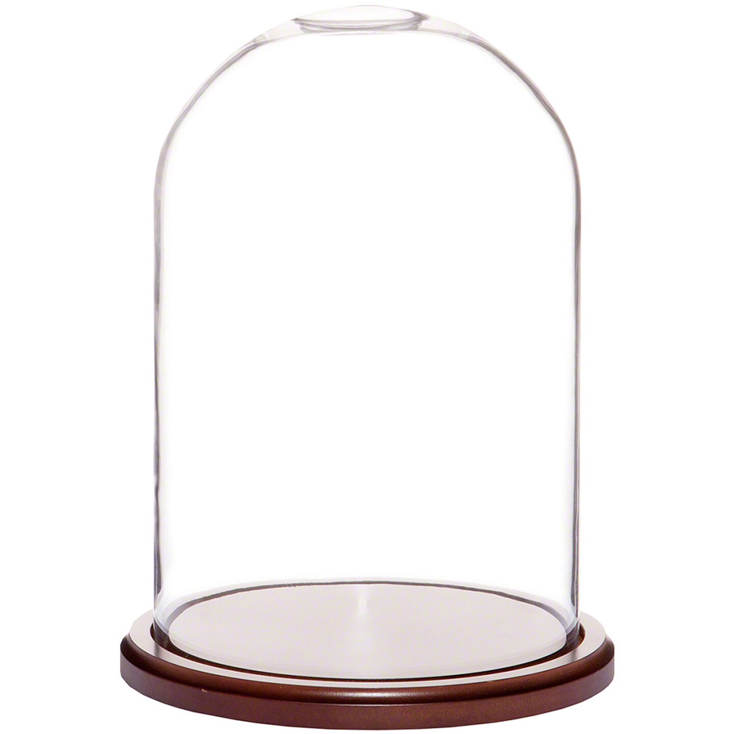 Plymor 8" x 12" Glass Display Dome Cloche Michaels