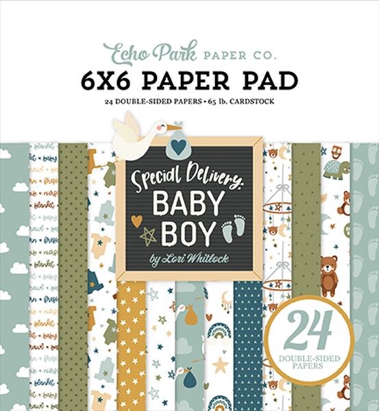 Echo Park Special Delivery Baby Boy 6x6 Pad