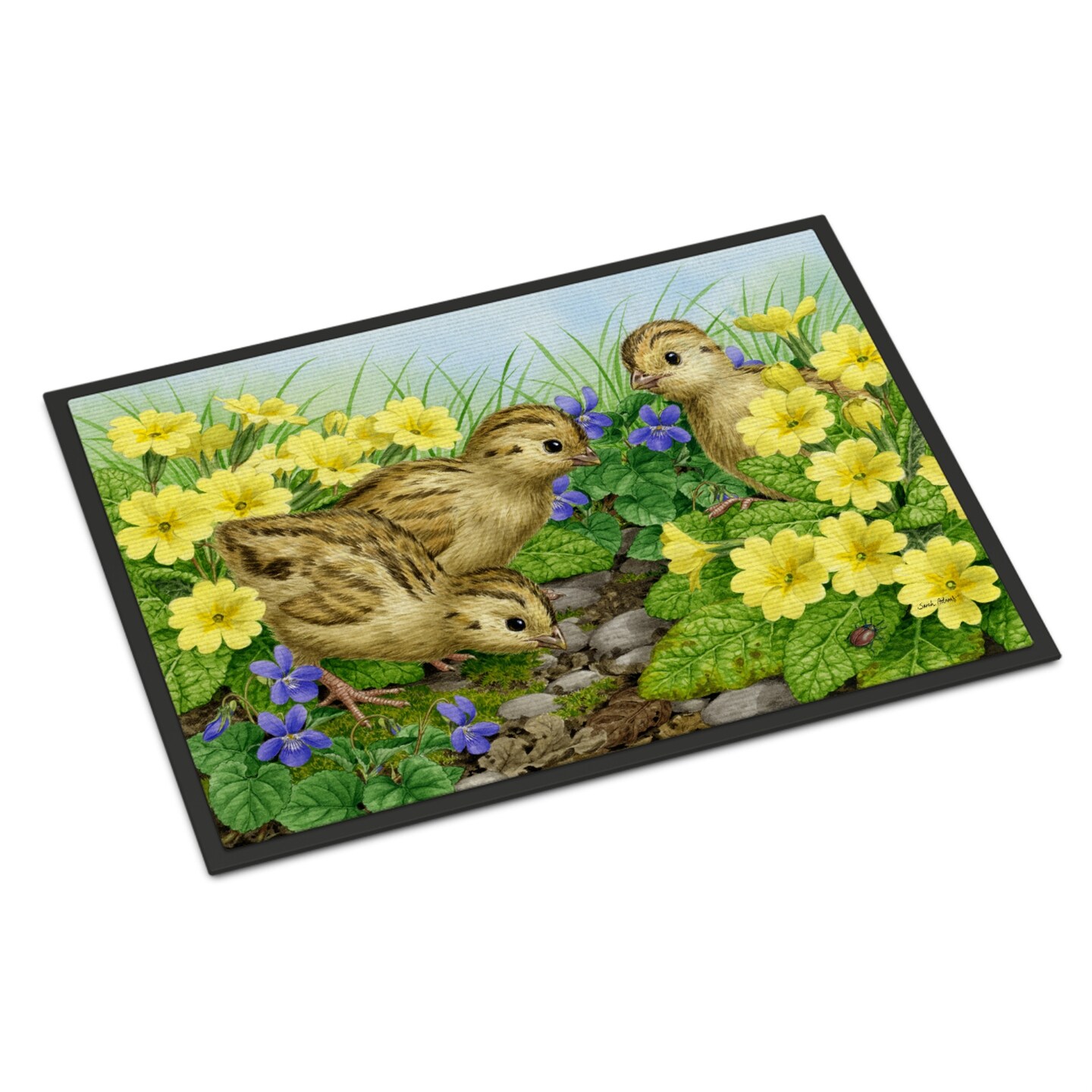 "Caroline's Treasures ASA2177MAT Pheasant Chicks Indoor or Outdoor Mat