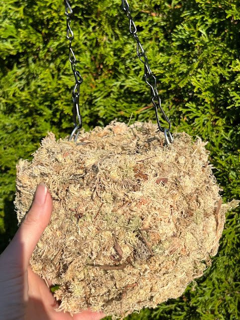 6&#x22; MOSS Hanging Planter -  Ball NATURAL
