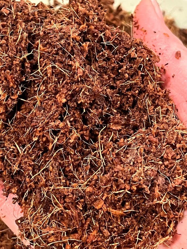 Coconut Coir - 1 Jumbo Brick