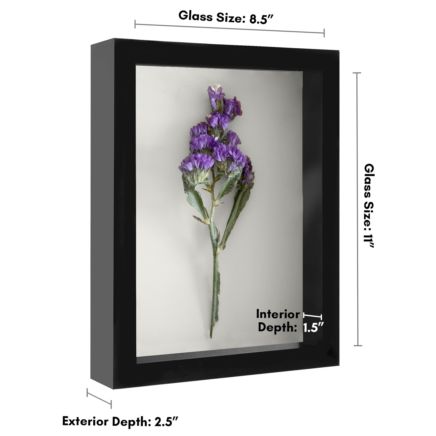 Americanflat Shadow Box Frame - 1.5 Interior Depth for Memorabilia - Display Case for Showcasing Souvenirs, Awards, and Medals - Shatter Resistant Glass - Hanging Hardware
