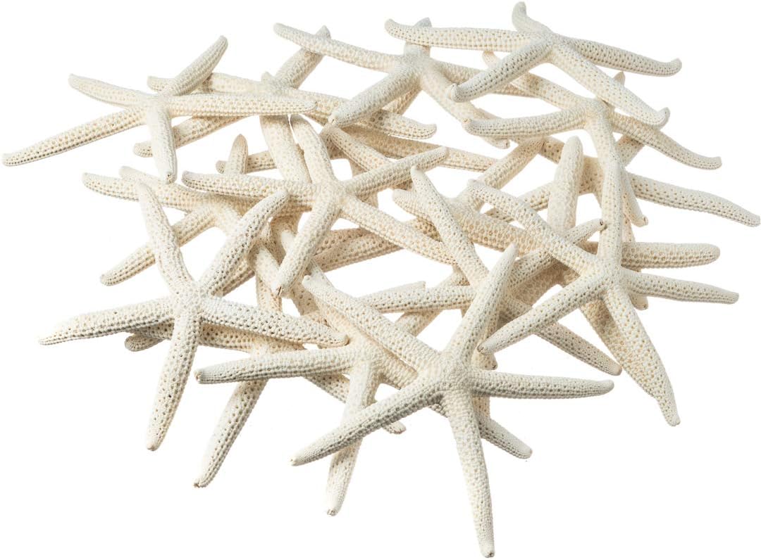 Starfish Decor - White Finger Star Fish 3-4 Inch (30 pk)- Craft Starfish - White Starfish Decor - Beach Wedding Starfish - Beach Starfish Décor - Decorative Starfish