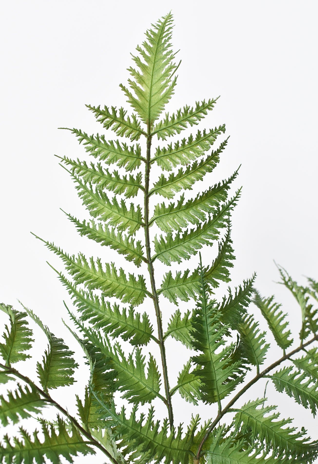 22&#x22; Faux Forest Fern Stem Bundle