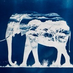 storefront avatar