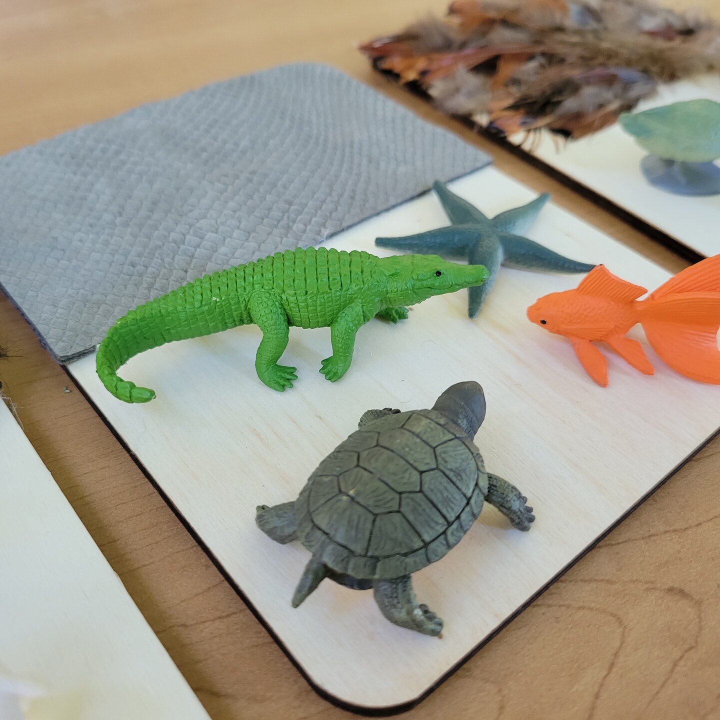 Fur, Scales, and Feathers Sorting Activity image 1