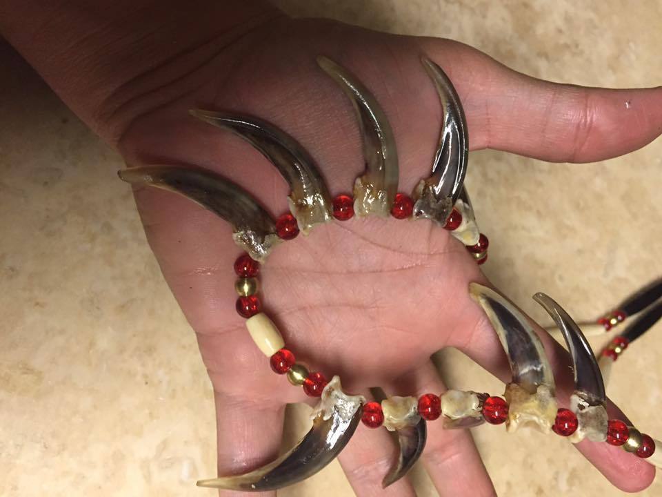 Real Grizzly Bear claw necklaces for sale by CraftyCrawford1 on DeviantArt