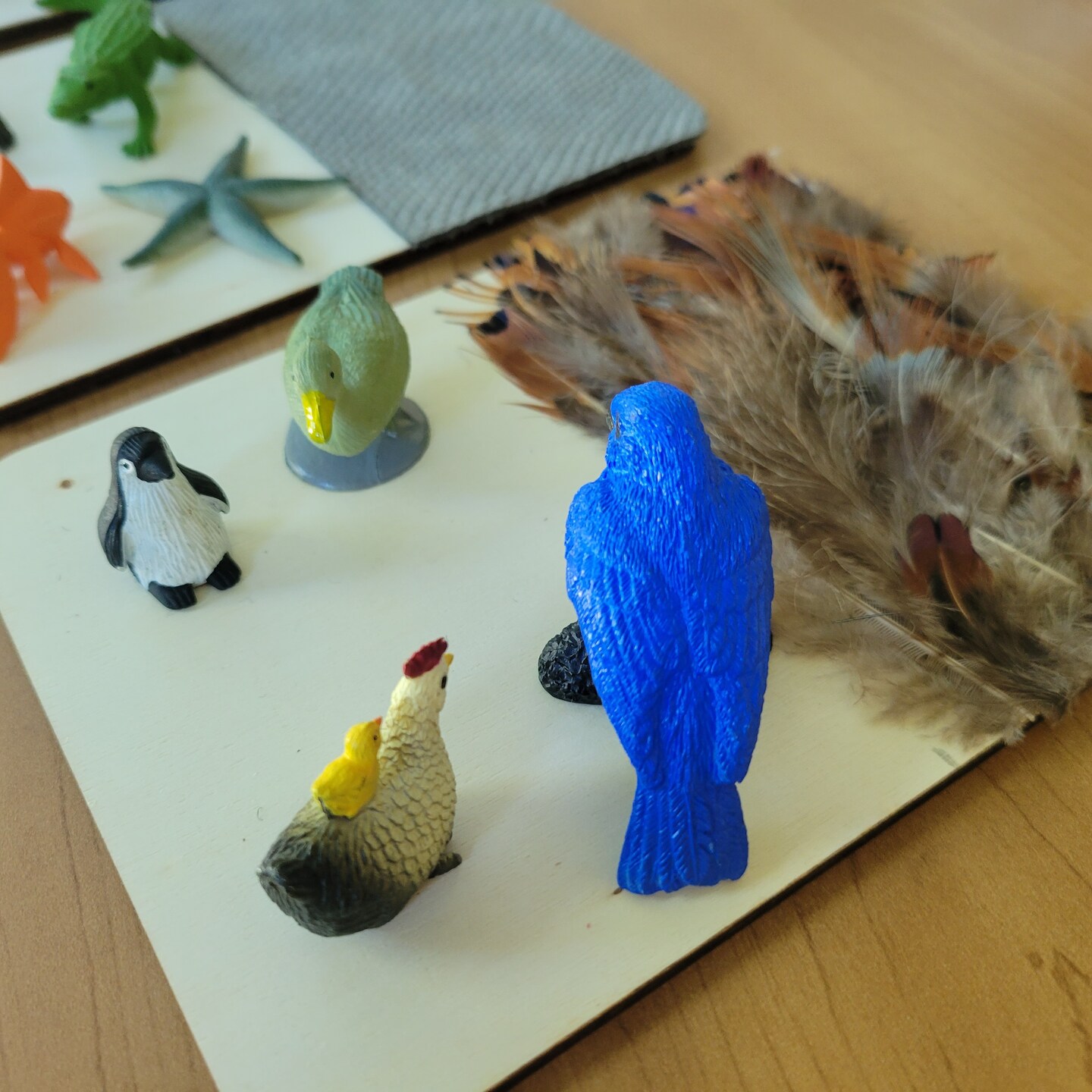 Fur, Scales, and Feathers Sorting Activity image 6