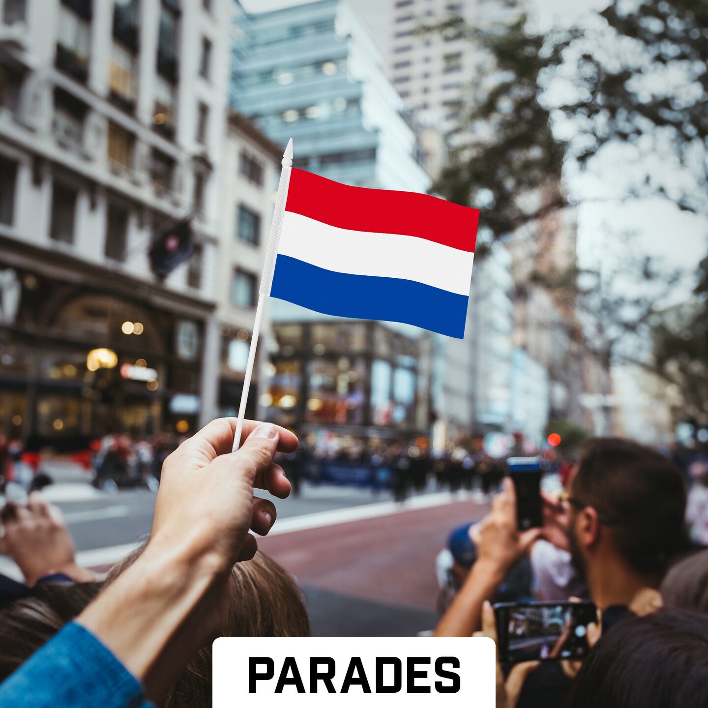 G128 50 Pack Handheld Netherlands Dutch Stick Flags | 4x6 In | Printed 150D Polyester, Country Flag, Solid Plastic Stick, Spear White Tip