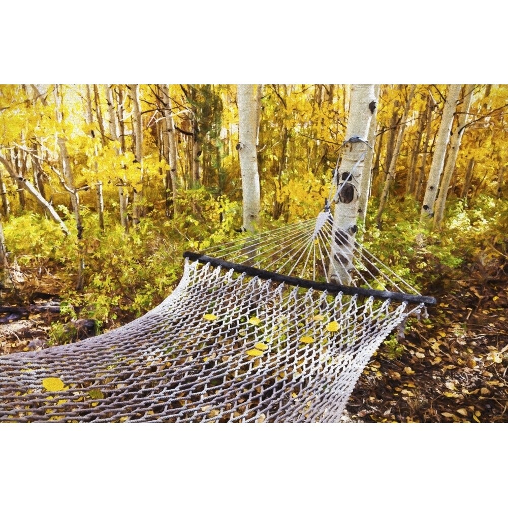 Classic Hammock Invites Visitors To Relax Among Aspen Trees In Bright Autumn Colors Near Bishop; California United Sta 1