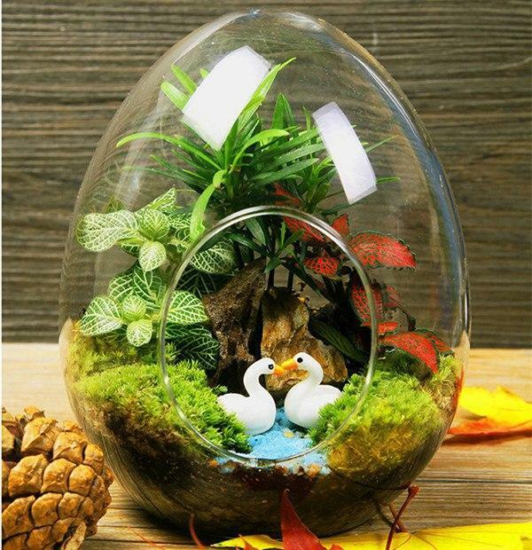 Egg Shaped Clear GLASS TERRARIUMS