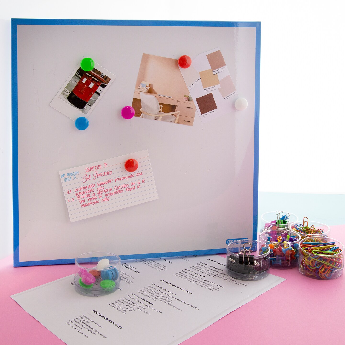 BAZIC Combo Sets: Push Pin, Paper Clip, Binder Clip, Magnetic Button
