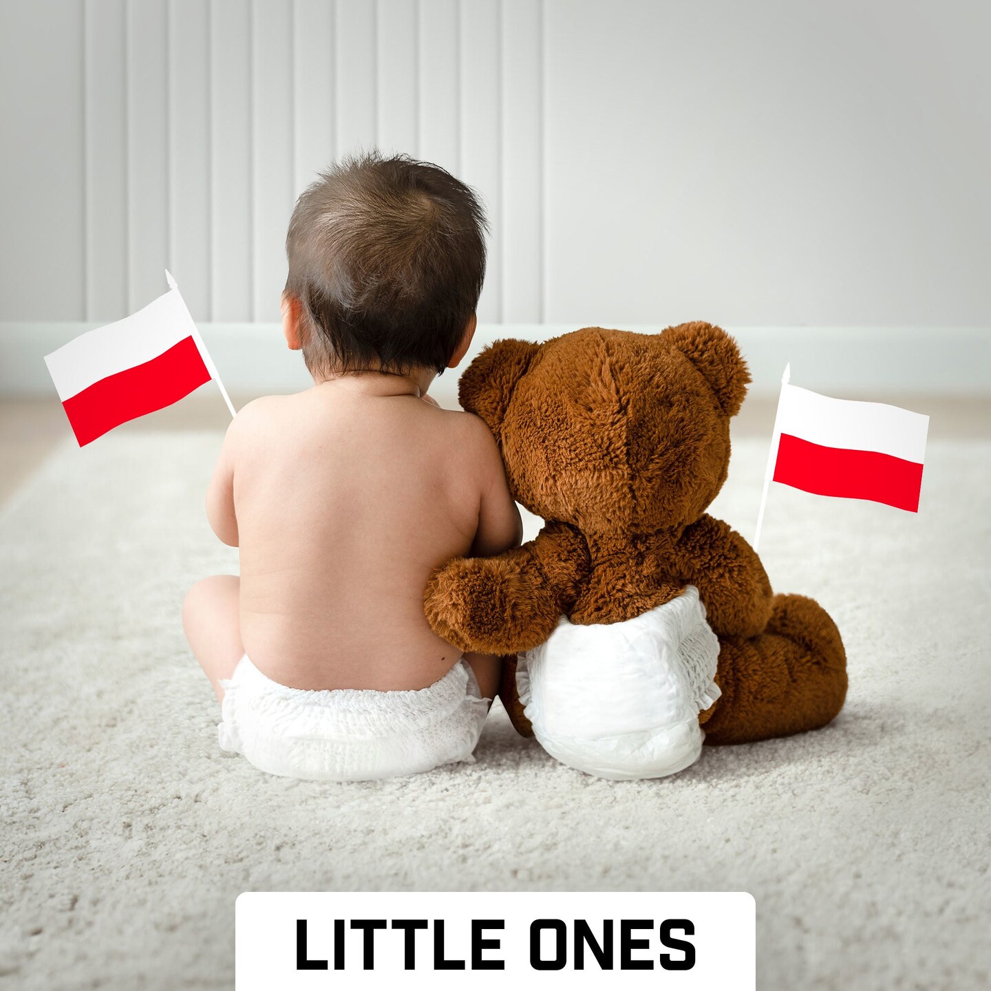 G128 24 Pack Handheld Poland Polish Stick Flags | 4x6 In | Printed 150D Polyester, Country Flag, Solid Plastic Stick, Spear White Tip