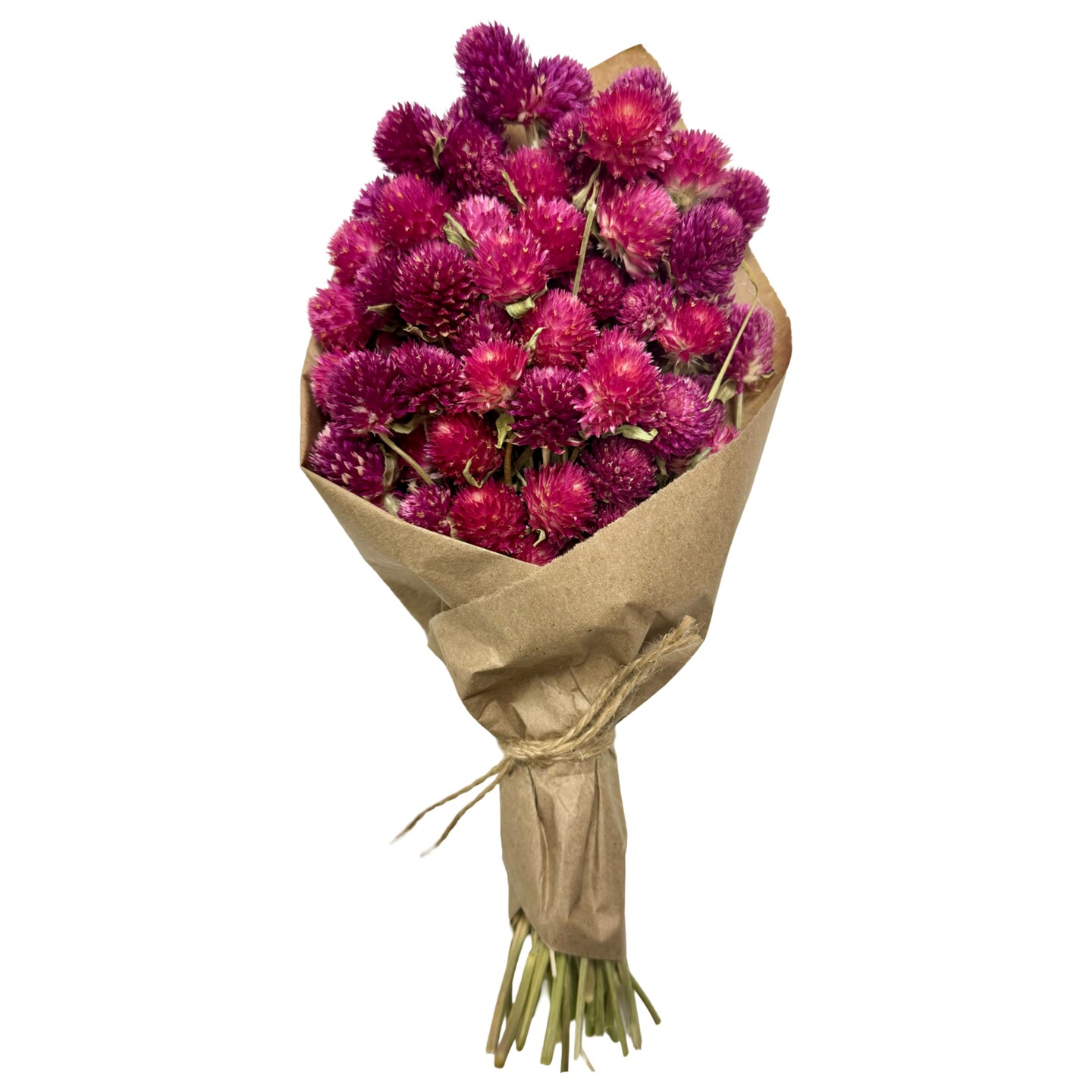 11&#x22; Dried Pink and Purple Globe Amaranth Mini Bouquet