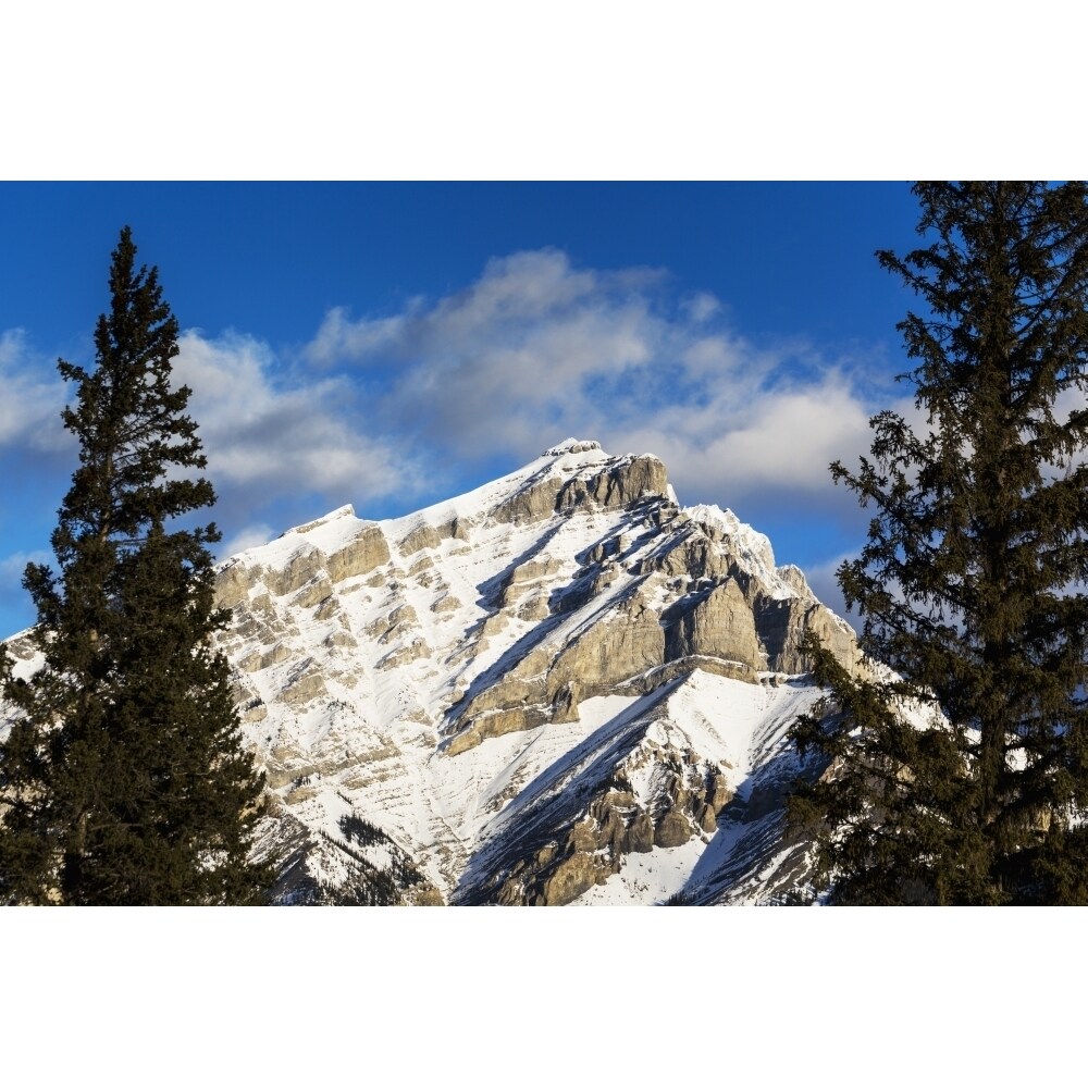 Snow Covered Mountain Framed By Evergreen Trees With Blue Sky And