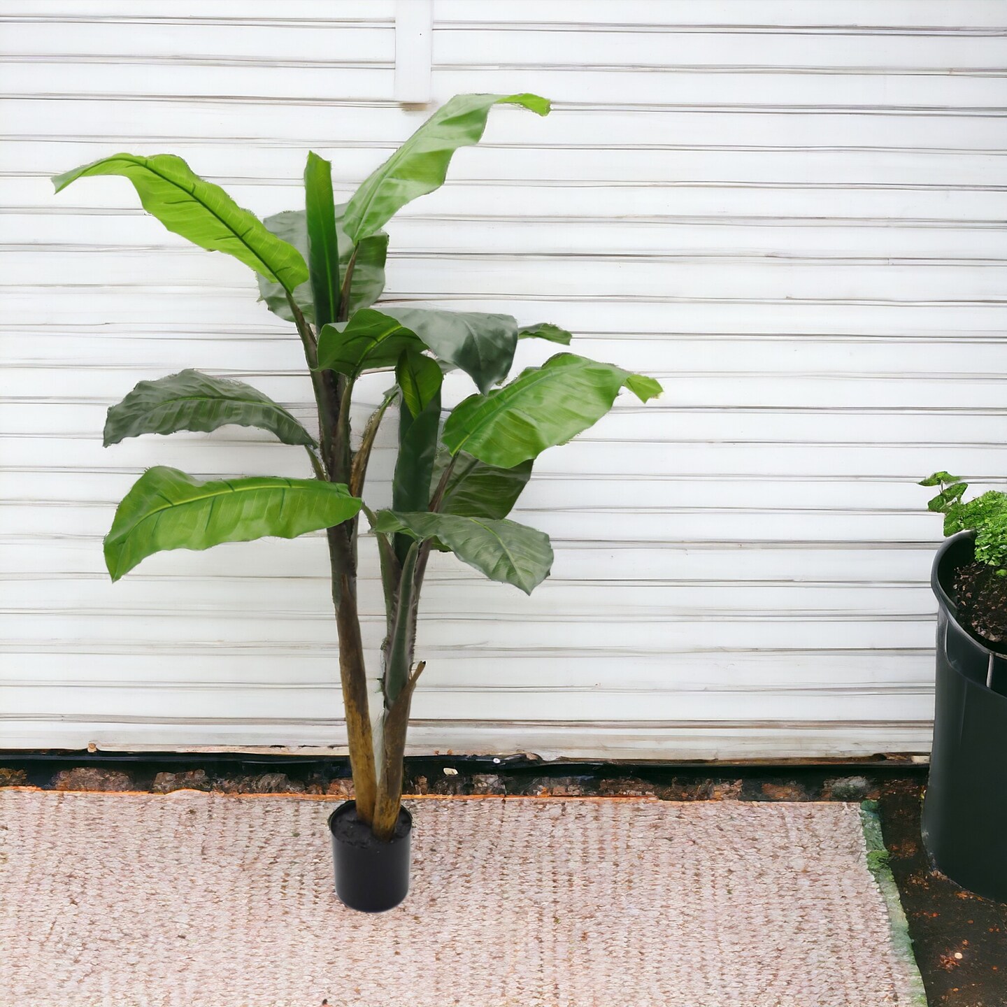 4ft Artificial Banana Tree - 12 Lifelike Silk Leaves, Black Pot, Home & Office Decor - Tropical Accent for All Seasons, Floral Home by Artificial Flowers