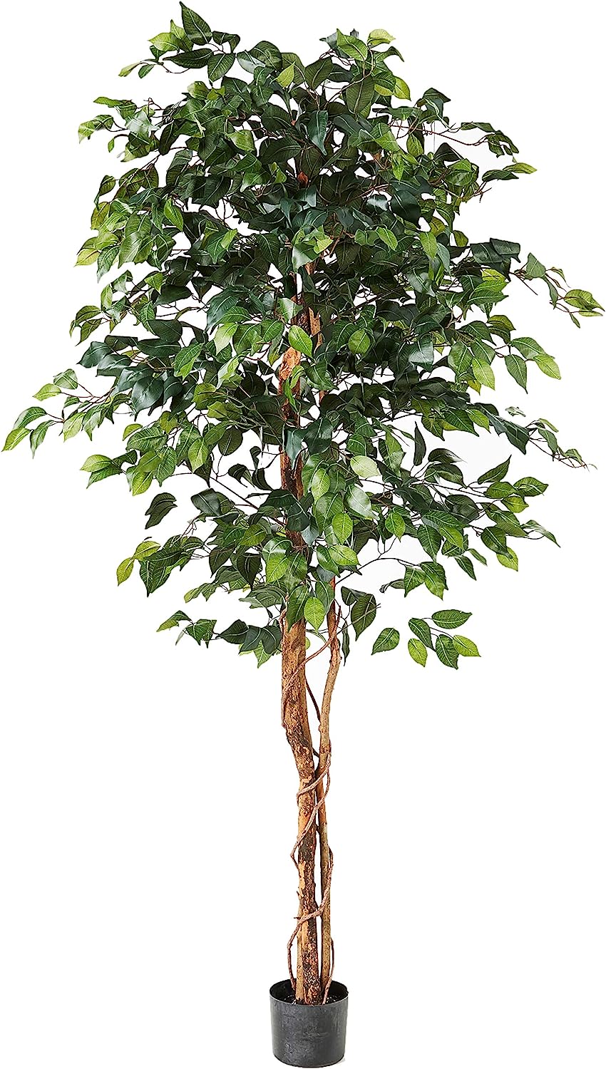 Bringing the Outdoors In: The Nearly Natural 6ft. Ficus Silk Tree