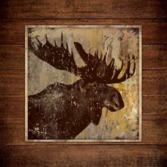 Moose Portrait Poster Print by Stephanie Marrott - Item # VARPDXSM10255