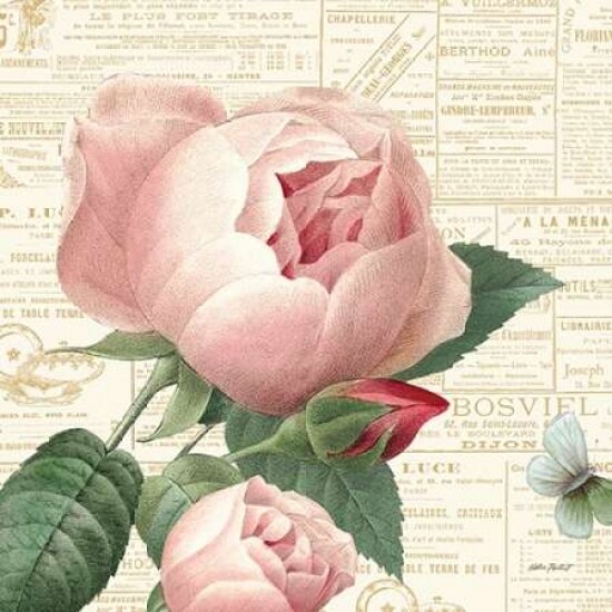 Roses in Paris V Poster Print by Katie Pertiet - Item # VARPDX21074