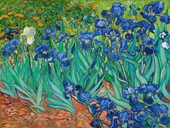 Irises Poster Print by Vincent Van Gogh - Item # VARPDX3VG1436
