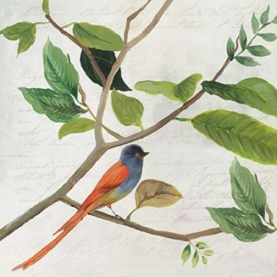 Singing Bird II Poster Print by Asia Jensen