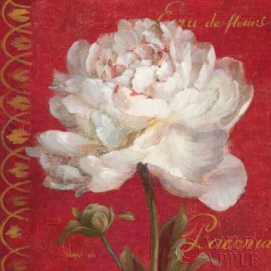 Paris Blossom IV Poster Print by Danhui Nai - Item # VARPDX1404