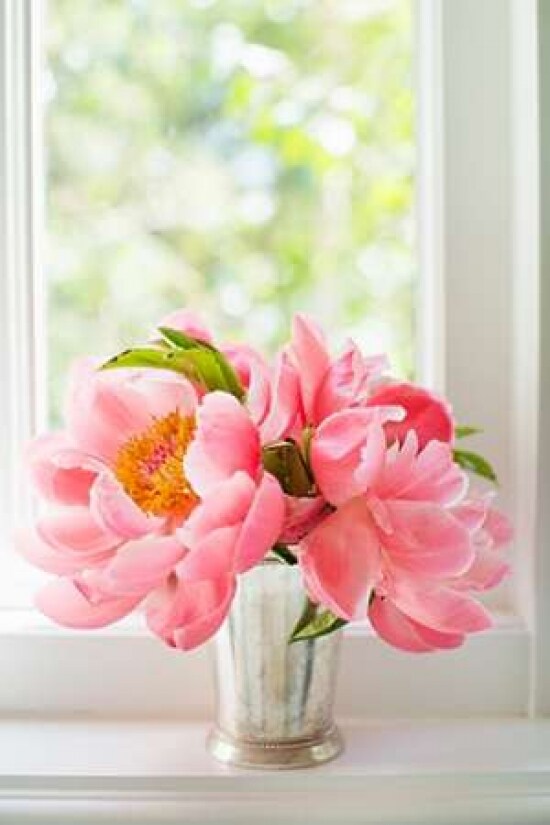 Peonies in Vase II Poster Print by Karyn Millet - Item # VARPDXPSMLT504