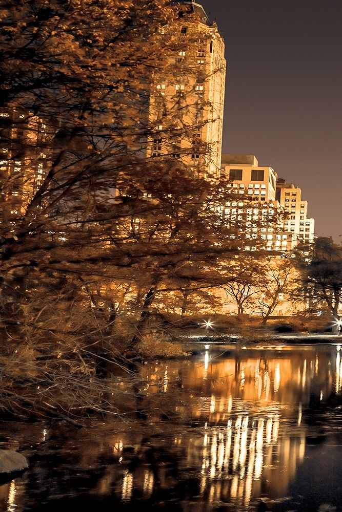 Central Park Glow I Poster Print by Assaf Frank - Item # VARPDX70141