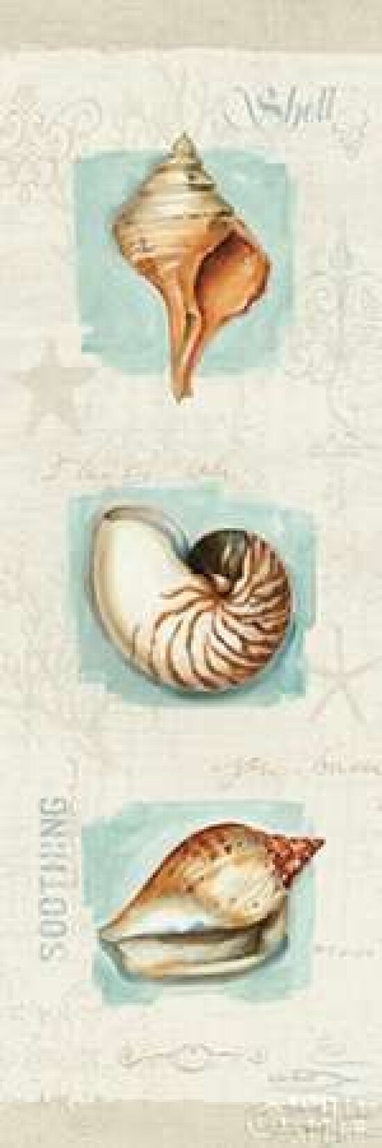Coastal Jewels Panel II Poster Print by Lisa Audit - Item # VARPDX14172