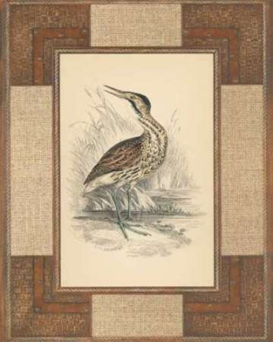 Marshland Bittern Poster Print by Alastair Reynolds - Item # VARPDXCC2901