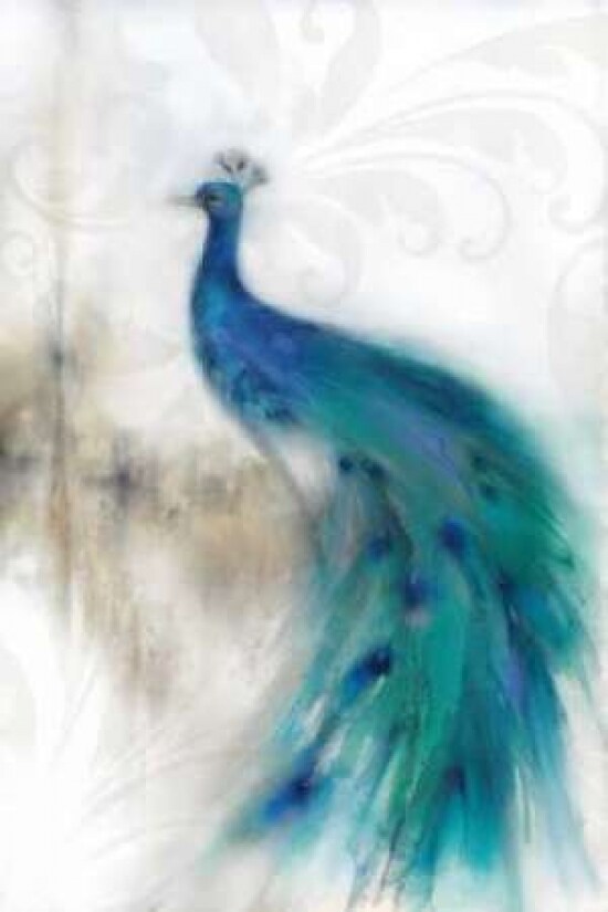 Jewel Plumes II Poster Print by J.P. Prior - Item # VARPDXPJP401