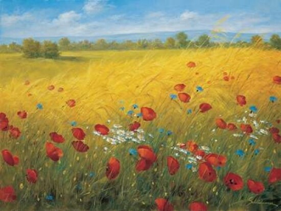 Sparkling field I Poster Print by Heinz Scholnhammer - Item # VARPDXHS005