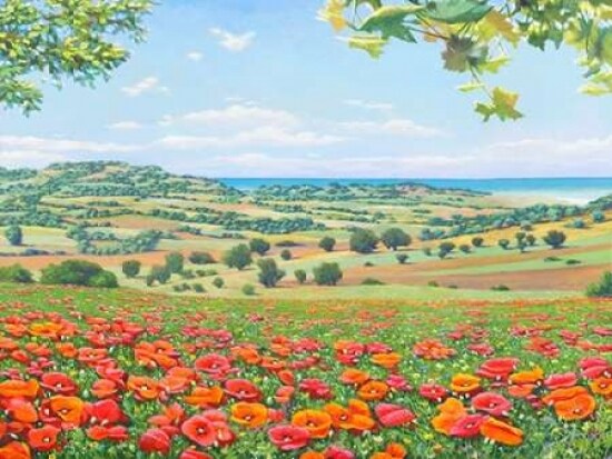 Campo di papaveri Poster Print by Andrea Del Missier - Item # VARPDX3ADM3804