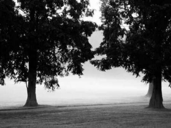 Fog in the Park II Poster Print by Gary Bydlo - Item # VARPDX16002
