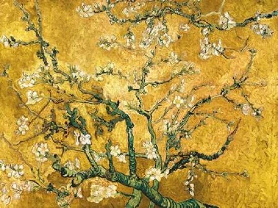 Mandorlo in fiore Poster Print by  Vincent Van Gogh - Item # VARPDX3VG3106