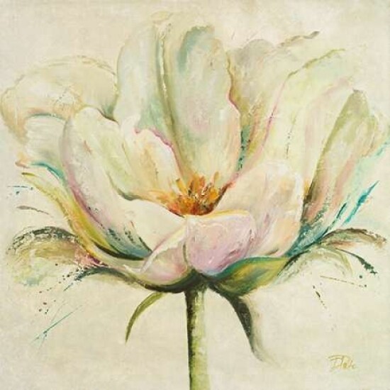 White Double Tulips II Poster Print by Patricia Pinto - Item # VARPDX9559