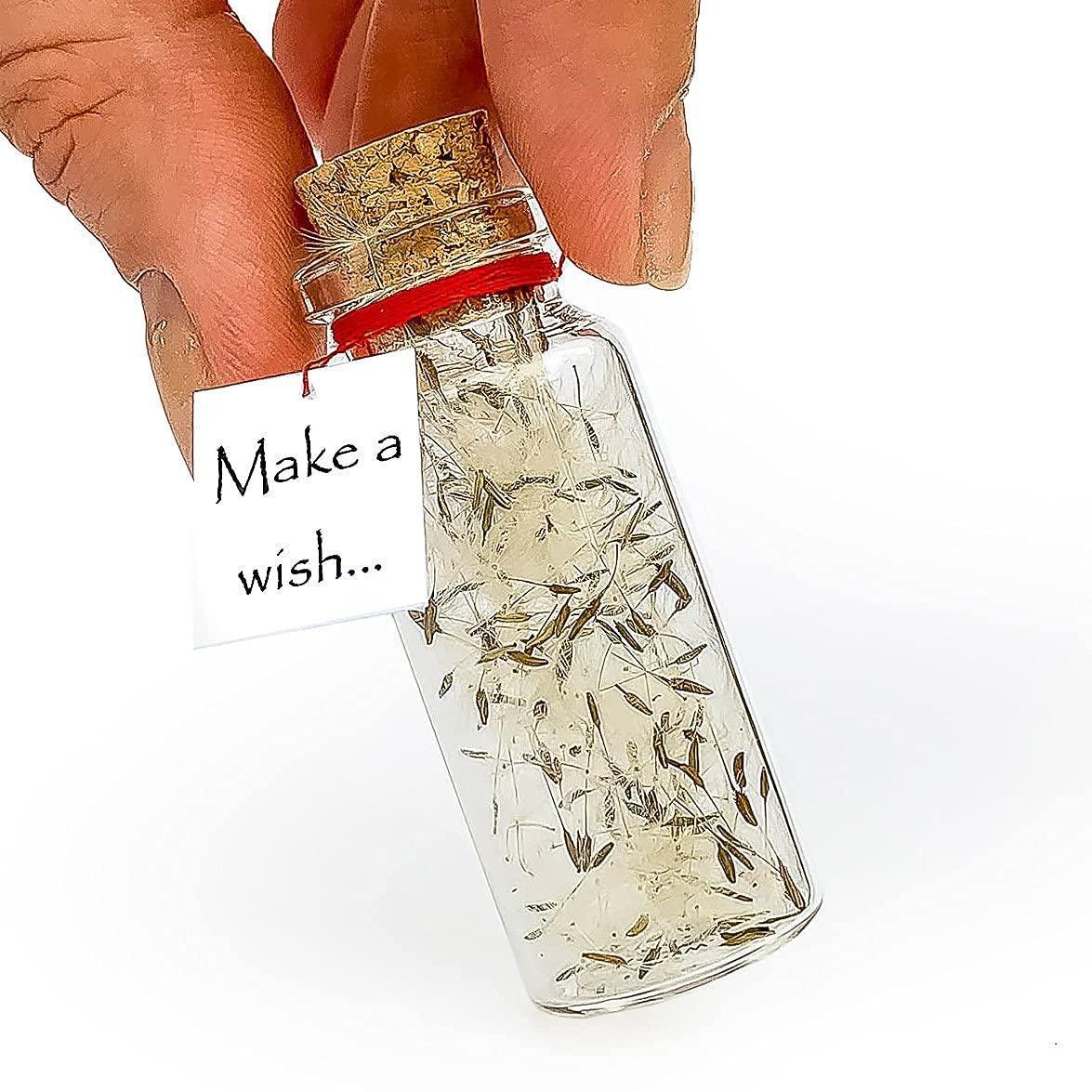 Tiny Magical Message in a Bottle Gift Idea   Classy Inspirational Gifts for Him and Her   Unique Presents for Women and Men (White Dandelion   Make a Wish Gift Bottle)