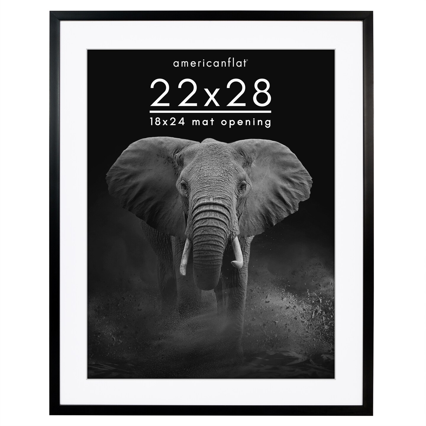 Americanflat Gallery-Style Picture Frame with Mat - Showcase Artwork, Prints, and Photos - Shatter Resistant Glass - Hanging Hardware with Drywall Anchor