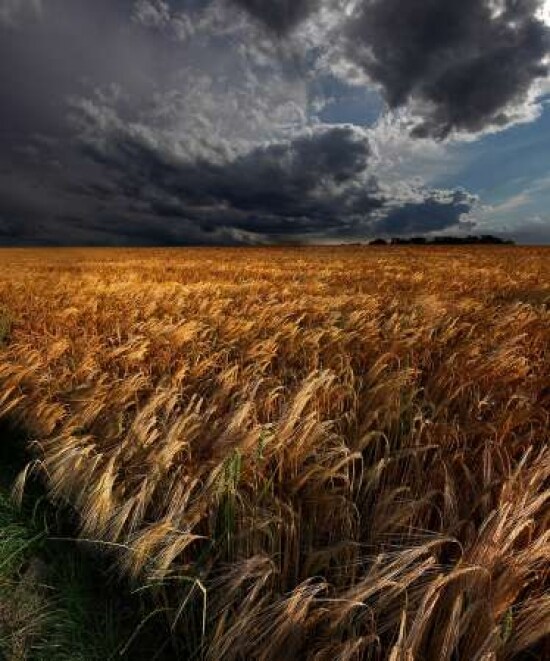 Coastal Splash Iv Poster Print by Katie Pertiet - Item # VARPDX25966