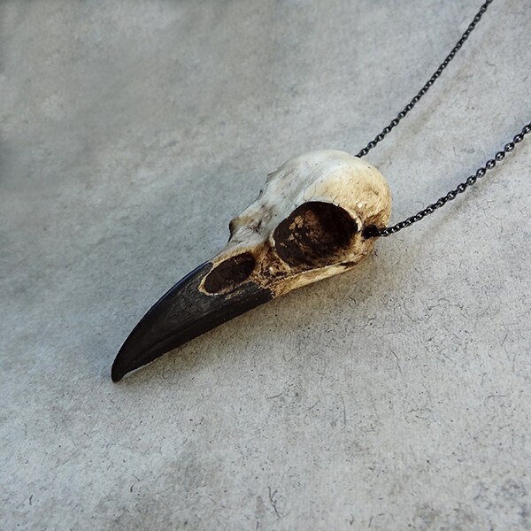 Real Raven Skull & Fox Vertebrae Bone Necklace, Pendant, #12