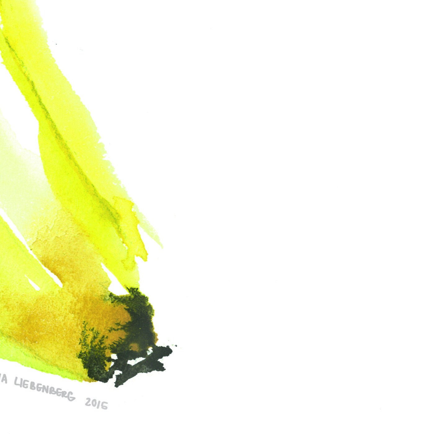 Banana by Claude Illustration Shower Curtain 71&#x22; x 74&#x22;