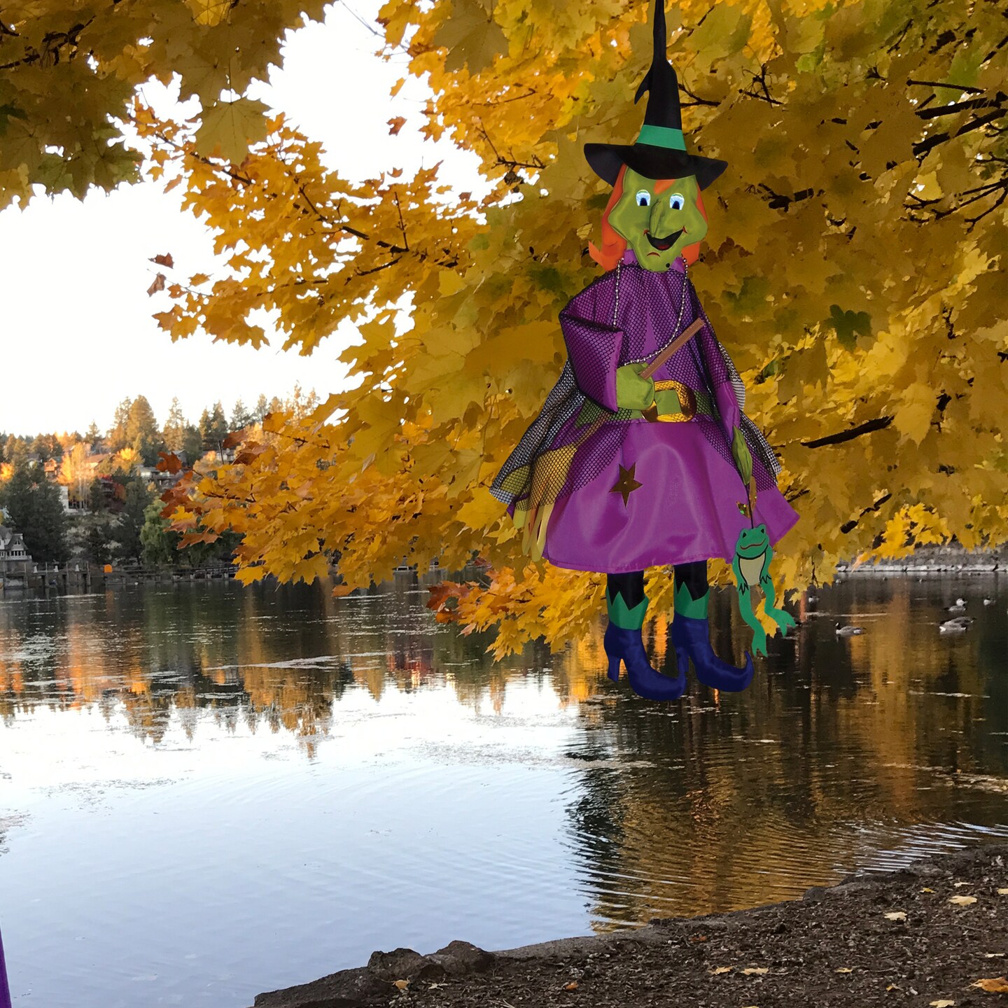 In the Breeze Witch Wind Friend 3D Windsock