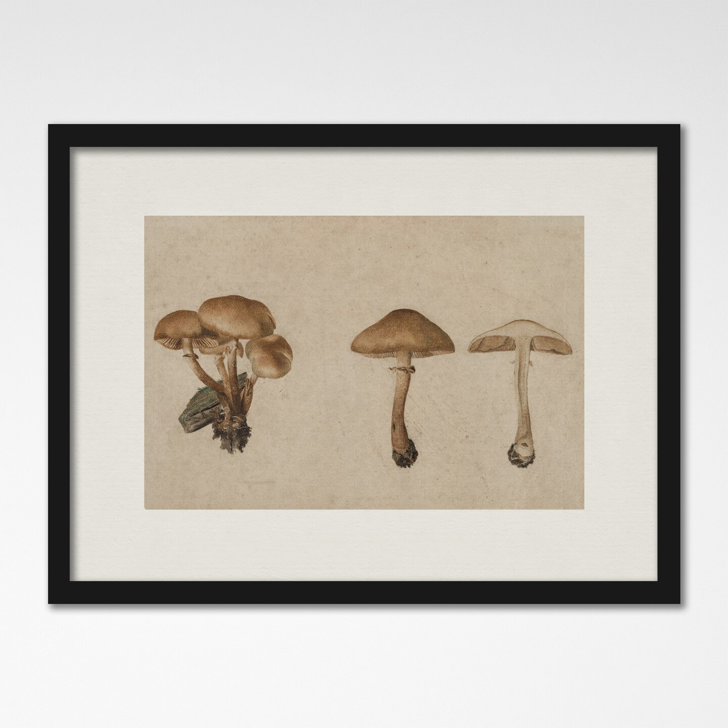 Mushrooms by Maple + Oak  Framed Print - Americanflat
