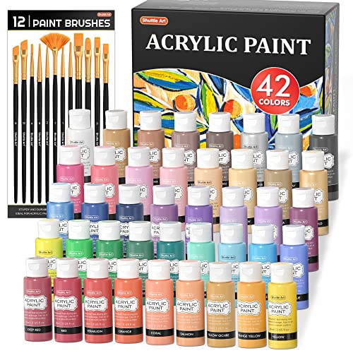 Shuttle Art Acrylic Paint, 42 Colors Acrylic Paint Set with 12 Paint  Brushes, 2oz/60ml Bottles, Rich Pigmented, Water Proof, Premium Paints for  Artists, Beginners and Kids on Canvas Rocks Wood Ceramic 