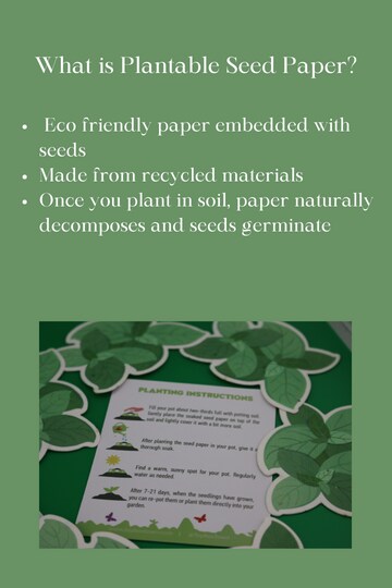 Plant Me!! Plantable Seed Paper-Mint