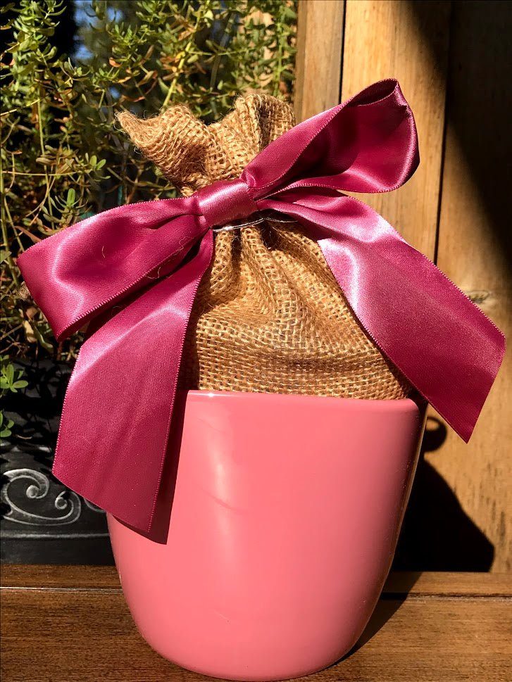 Amaryllis Grow Kit - ROSE Planter / Pink and White Flower